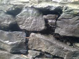 Carrowmore  10410.jpg